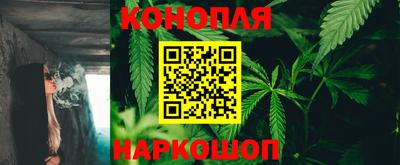 сатива Можга