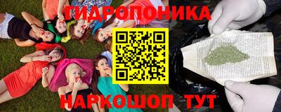 сатива Можга