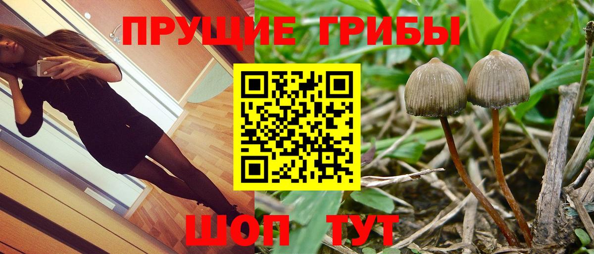 Псилоцибиновые грибы Magic Shrooms Холмск