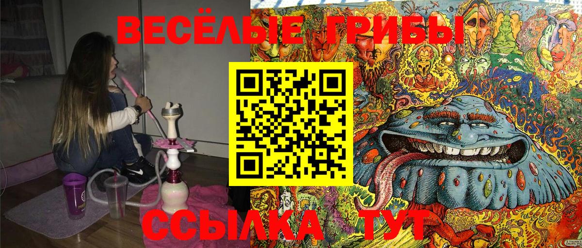 Галлюциногенные грибы мухоморы  Галлюциногенные грибы GOLDEN TEACHER  Холмск  Вход с VPN 